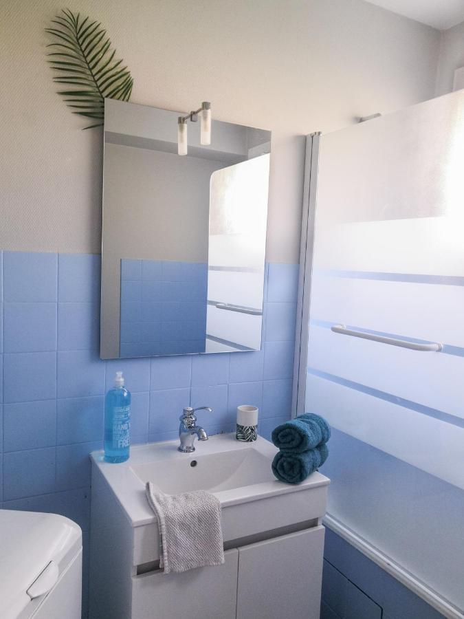 Appartement Toulouse Blagnac Aéroport IUT Parking Proche de toutes commodités Belle terrasse Netflix Extérieur photo